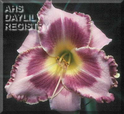 Touch of Royalty AHS image