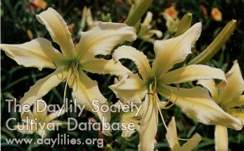 Walt Reinke AHS image