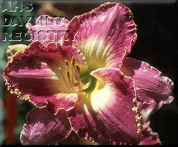 Ramsgate AHS image
