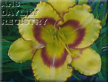 Jerry Honeycutt AHS image