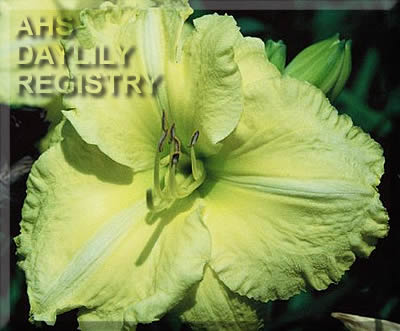 Big Business AHS image