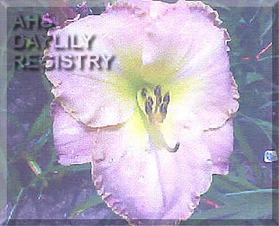 Shimmering Pink Cloud AHS image