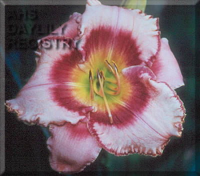 Bubba's Seminole Design AHS image