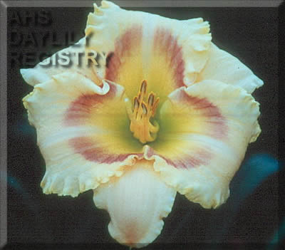 Bubba's Seminole Daybreak AHS image