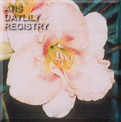 Babacu Cream AHS image