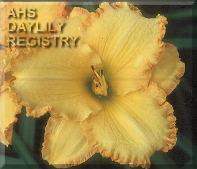 Sahara Splendor AHS image
