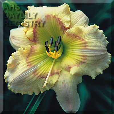 Crème de la Crème AHS image