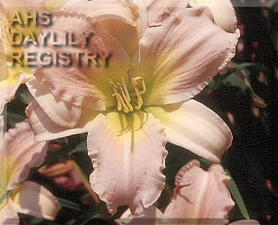 Hailey Henrion Memorial
