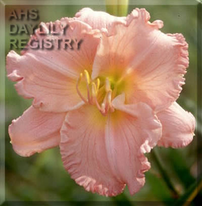 Wawan AHS image
