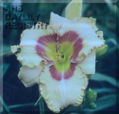 Simple Harmony AHS image