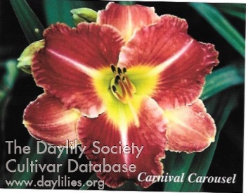 Carnival Carousel AHS image