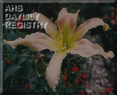 Ode to Oz AHS image