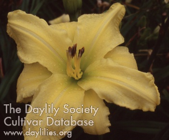 Peck's Poly AHS image