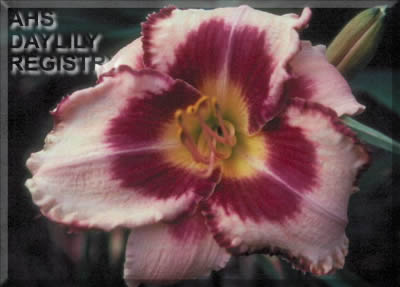 Sibyl's Legacy