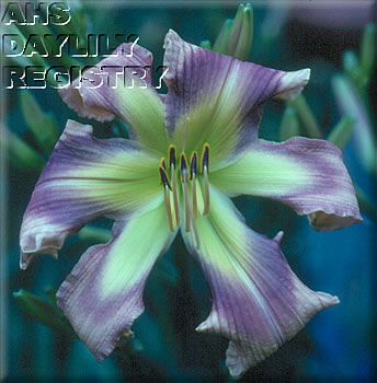 Alien Invader