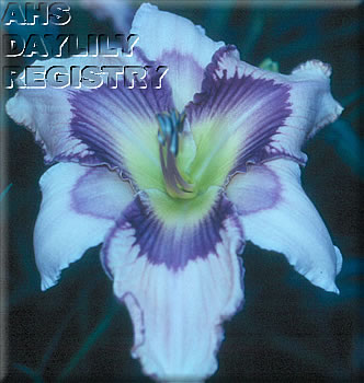 Winter Wolf AHS image