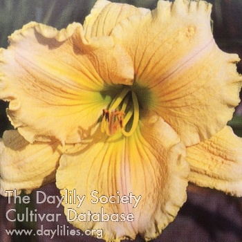 Hayfield Fever AHS image