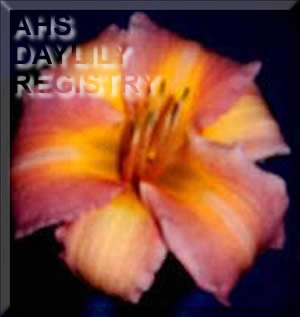 Cool Coral AHS image