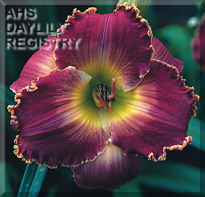 Regal Procession AHS image