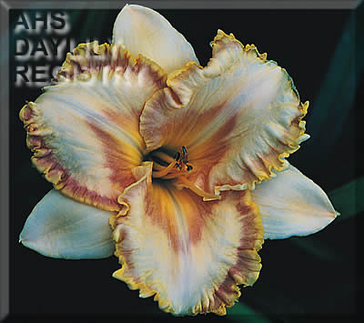 Hello Hollywood AHS image