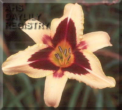 Volusian Spider AHS image
