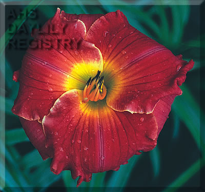 Frank Morrell AHS image