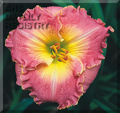 Pacific Princess AHS image