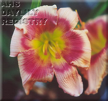 Written in Red AHS image