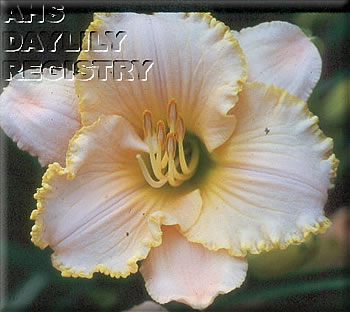 Mutton Jade AHS image