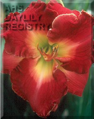 Rosy Rhino AHS image