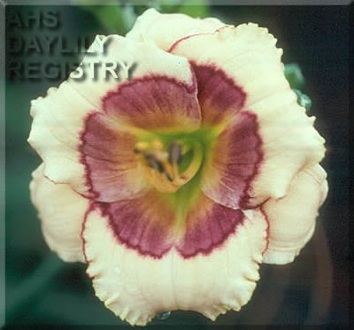 Elfin Envoy AHS image