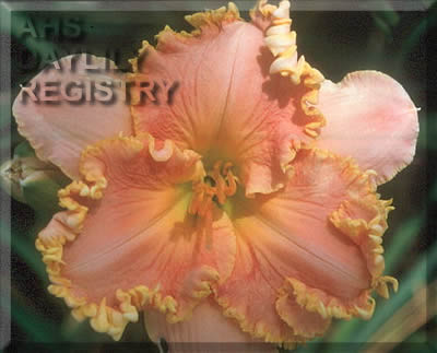 Sprinkled with Springtime AHS image