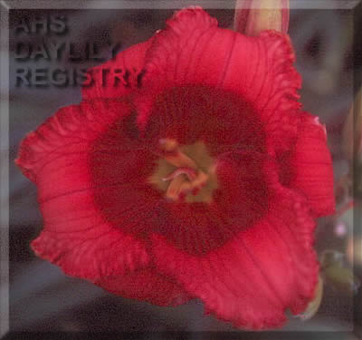 Lucky Dragon AHS image