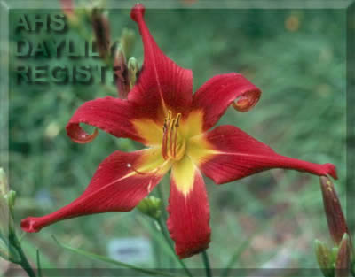 Hell's Gate AHS image