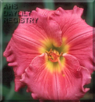 Designer's Art AHS image