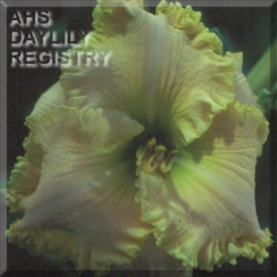 Winter Springs AHS image