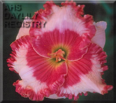 Ageless Beauty AHS image