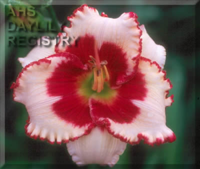 Fields of Valor AHS image