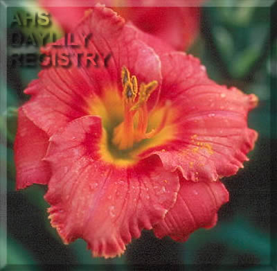 Country Fun AHS image