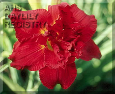 Ragtime Ruby AHS image
