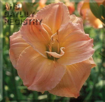 Spring Event AHS image