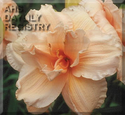 Lazy Hazy Days AHS image
