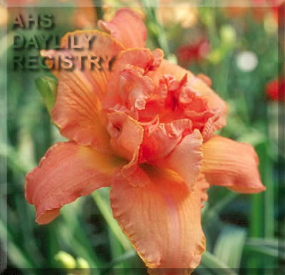 Teetotally Yours AHS image