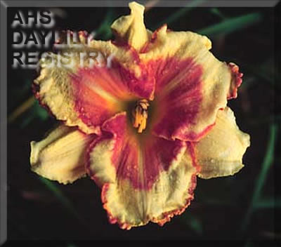 Hearts Abound AHS image