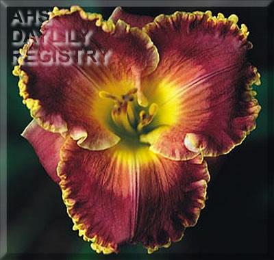 Dangerous Approach AHS image
