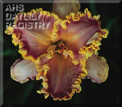 Systematic Intrigue AHS image