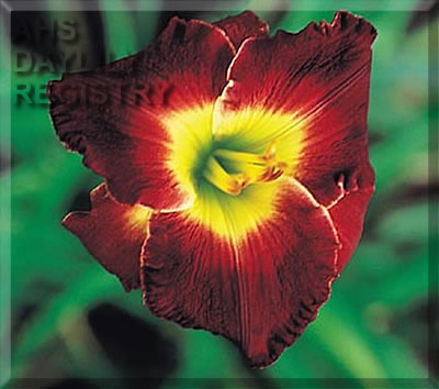 Silent Heart AHS image