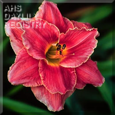 Muskoka Dawn AHS image