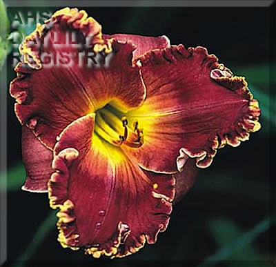 Valuable Asset AHS image