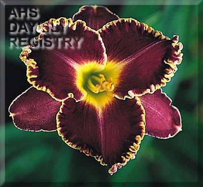 Quest for Eden AHS image